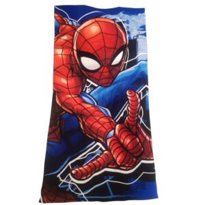 the Amazing Spider Man Spiderman Marvel Comics